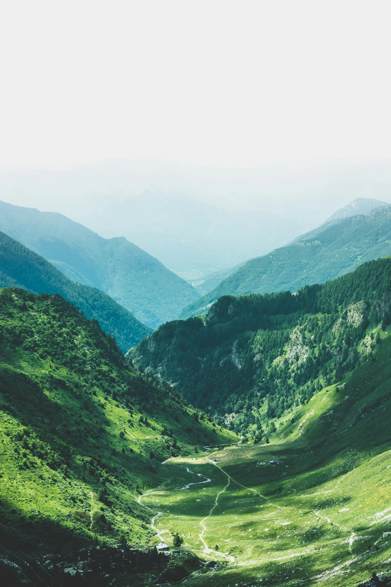 Valle de montaña verde — psicólogo en Pamplona